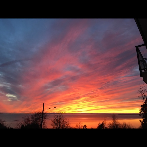 Meet your Posher, Kat - Picture 4 of 9